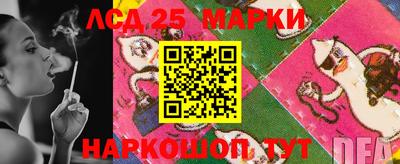 ECSTASY Новозыбков