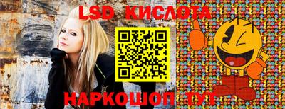 прущие крисы Новодвинск