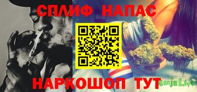 прущие крисы Новодвинск