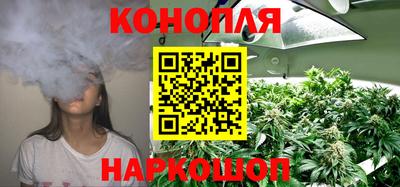 прущие крисы Новодвинск
