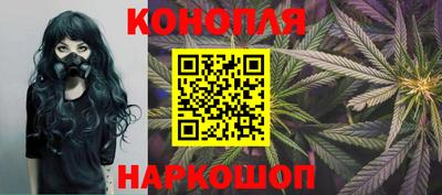 прущие крисы Новодвинск